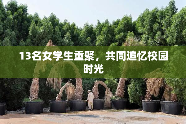 13名女学生重聚，共同追忆校园时光