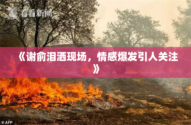 《谢俞泪洒现场，情感爆发引人关注》