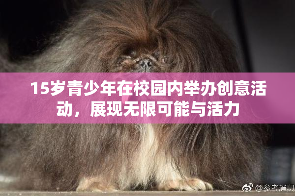 15岁青少年在校园内举办创意活动，展现无限可能与活力