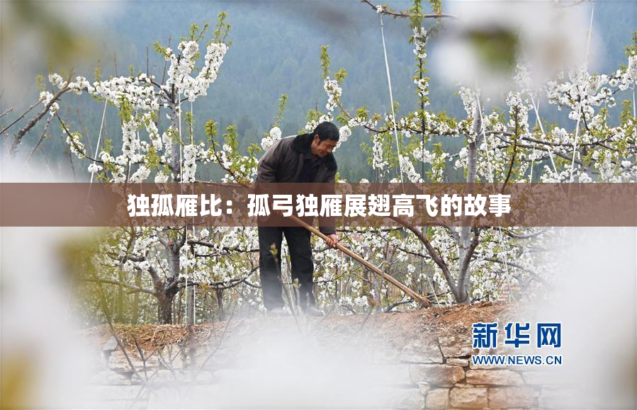 独孤雁比：孤弓独雁展翅高飞的故事