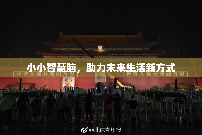 小小智慧脑，助力未来生活新方式