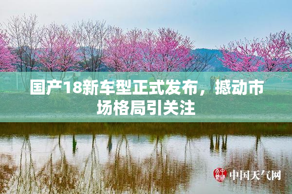 国产18新车型正式发布，撼动市场格局引关注
