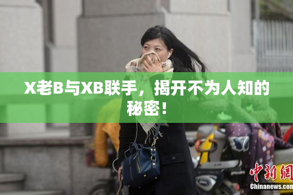X老B与XB联手，揭开不为人知的秘密！