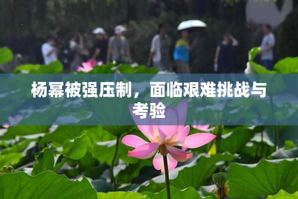 杨幂被强压制，面临艰难挑战与考验