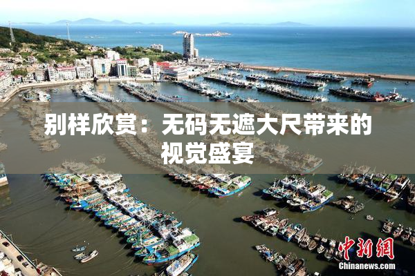 别样欣赏：无码无遮大尺带来的视觉盛宴