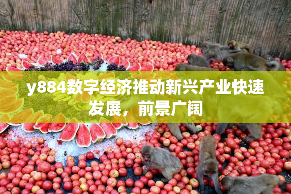 y884数字经济推动新兴产业快速发展，前景广阔
