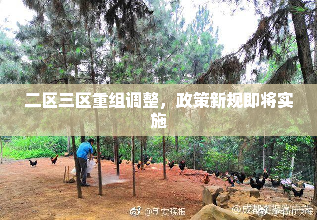 二区三区重组调整，政策新规即将实施