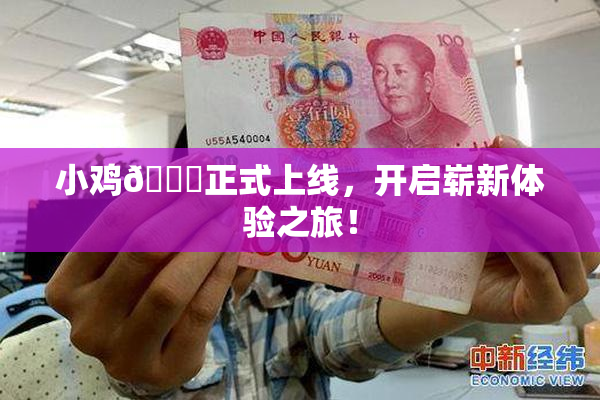 小鸡🐔正式上线，开启崭新体验之旅！