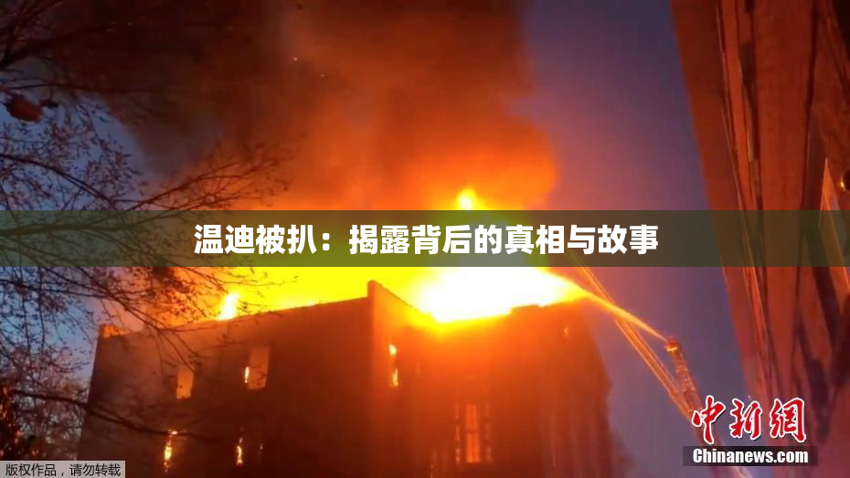 温迪被扒：揭露背后的真相与故事