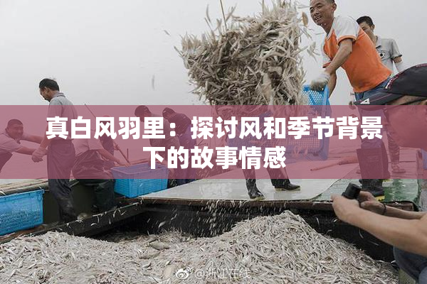 真白风羽里：探讨风和季节背景下的故事情感