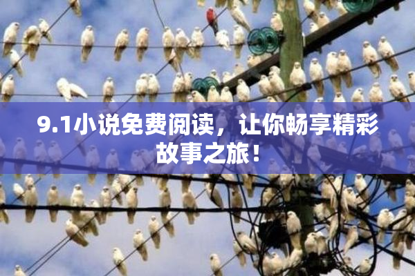 9.1小说免费阅读，让你畅享精彩故事之旅！