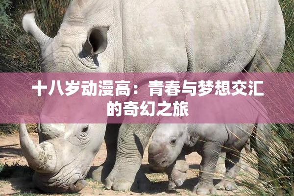 十八岁动漫高：青春与梦想交汇的奇幻之旅