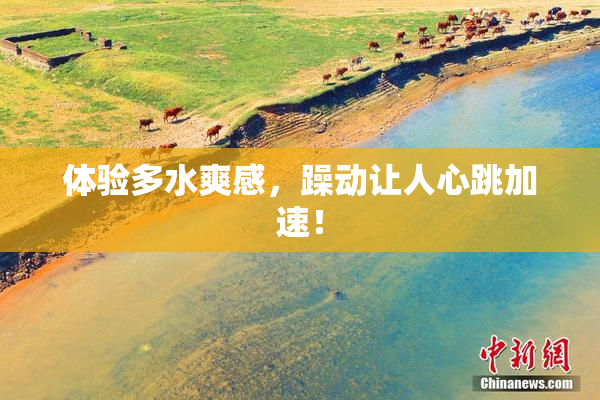 体验多水爽感，躁动让人心跳加速！