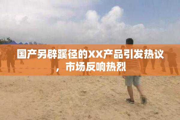 国产另辟蹊径的XX产品引发热议，市场反响热烈