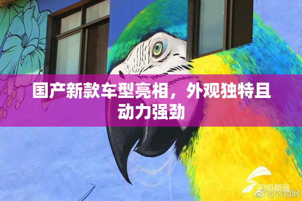 国产新款车型亮相，外观独特且动力强劲