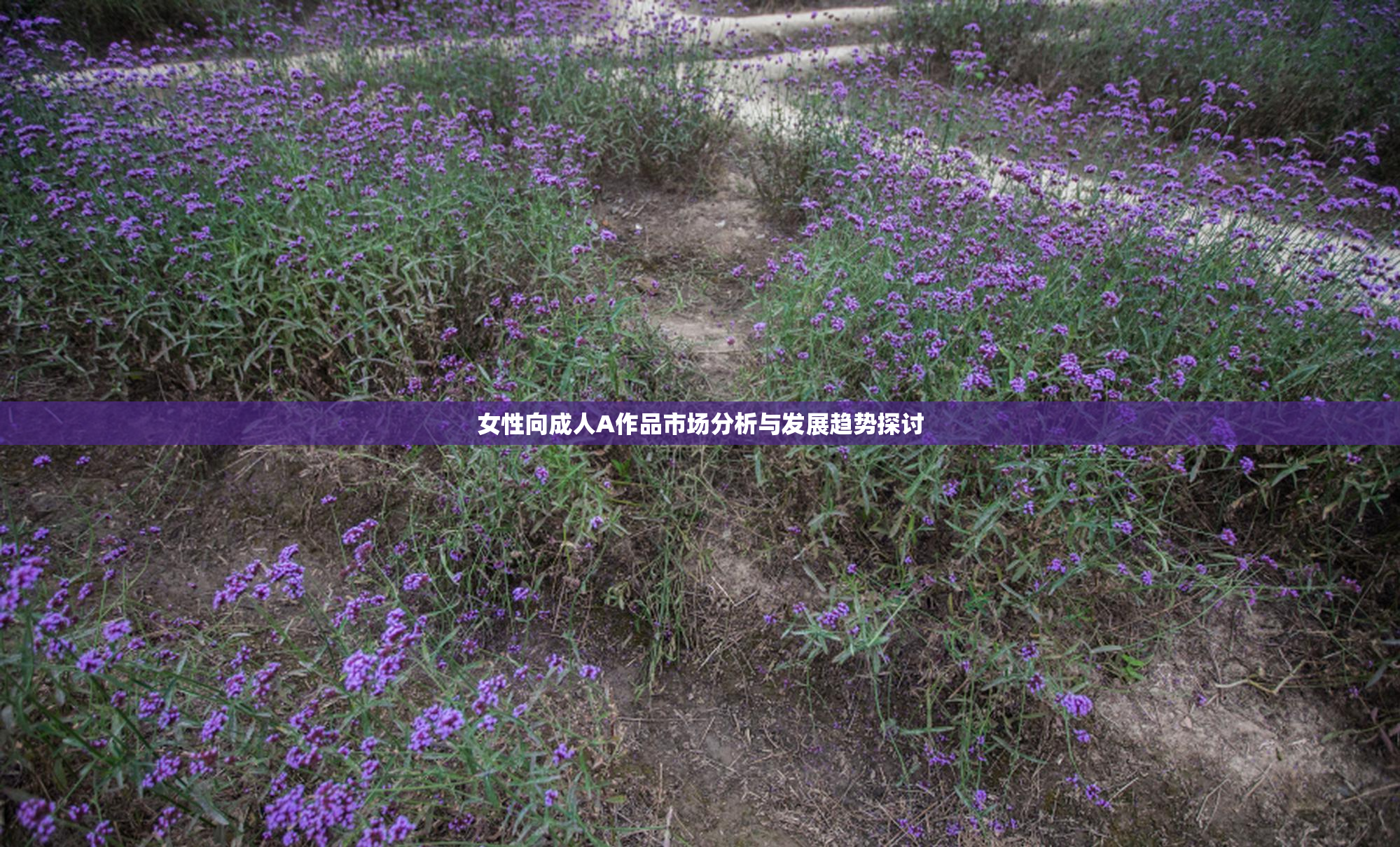 女性向成人A作品市场分析与发展趋势探讨