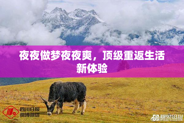 夜夜做梦夜夜爽，顶级重返生活新体验