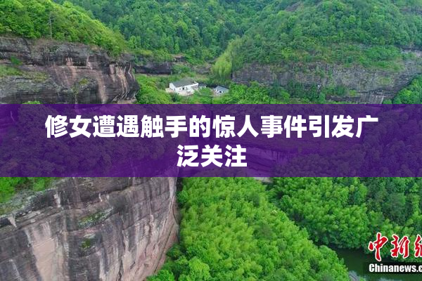 修女遭遇触手的惊人事件引发广泛关注