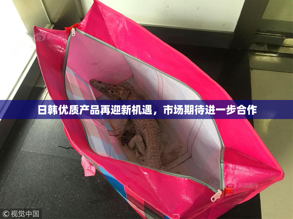 日韩优质产品再迎新机遇，市场期待进一步合作