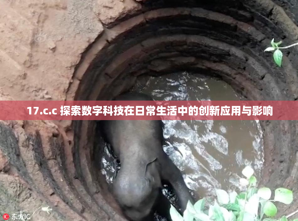 17.c.c 探索数字科技在日常生活中的创新应用与影响