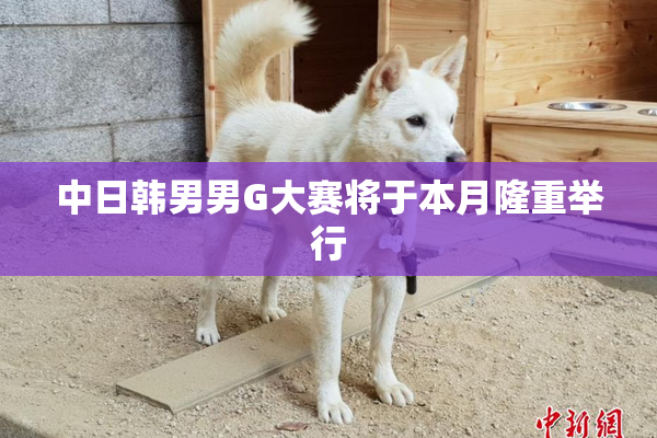 中日韩男男G大赛将于本月隆重举行