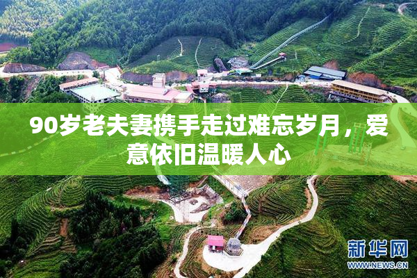 90岁老夫妻携手走过难忘岁月，爱意依旧温暖人心