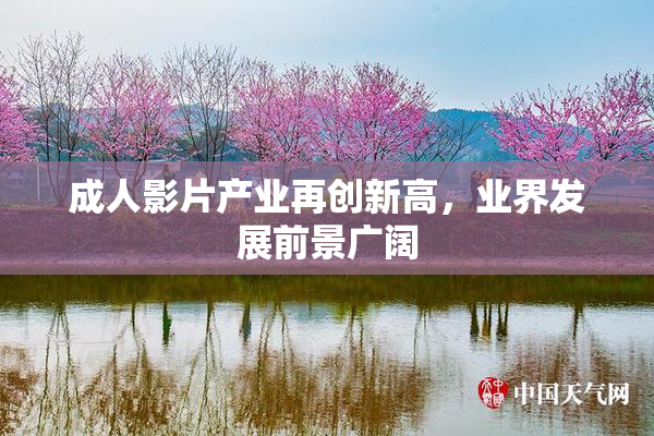 成人影片产业再创新高，业界发展前景广阔