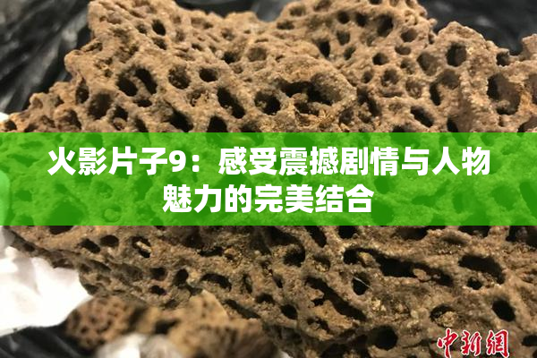火影片子9：感受震撼剧情与人物魅力的完美结合