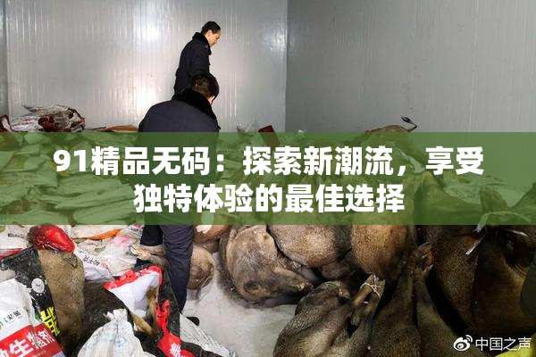 91精品无码：探索新潮流，享受独特体验的最佳选择