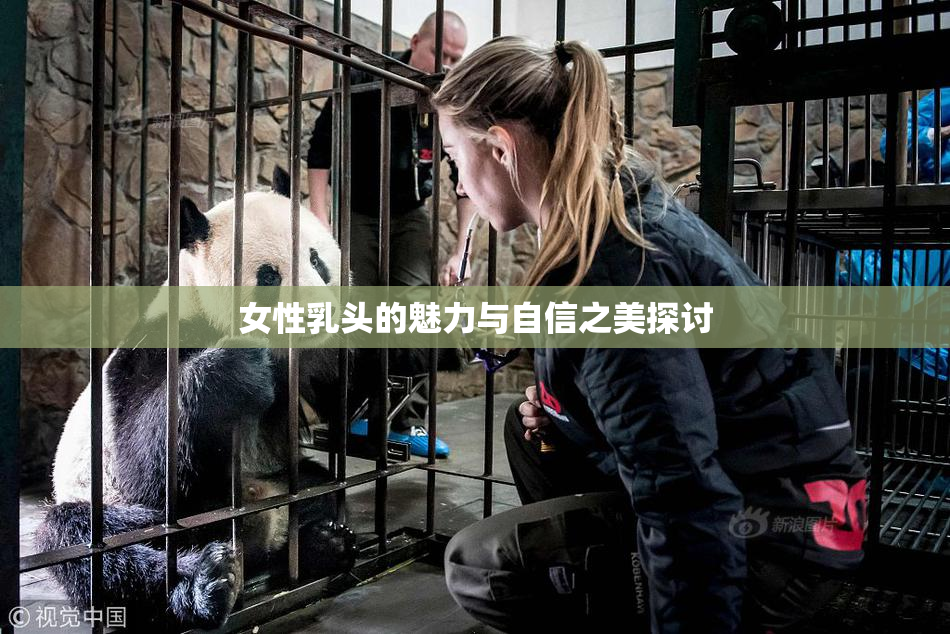 女性乳头的魅力与自信之美探讨
