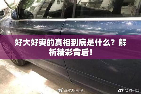 好大好爽的真相到底是什么？解析精彩背后！