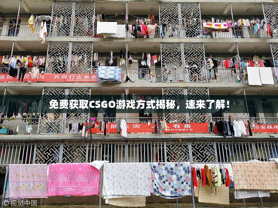 免费获取CSGO游戏方式揭秘，速来了解！
