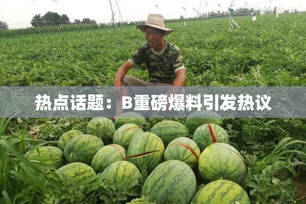 热点话题：B重磅爆料引发热议