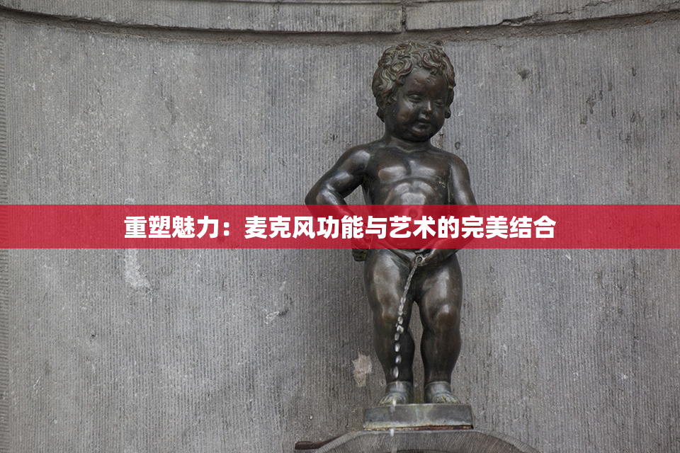 重塑魅力：麦克风功能与艺术的完美结合