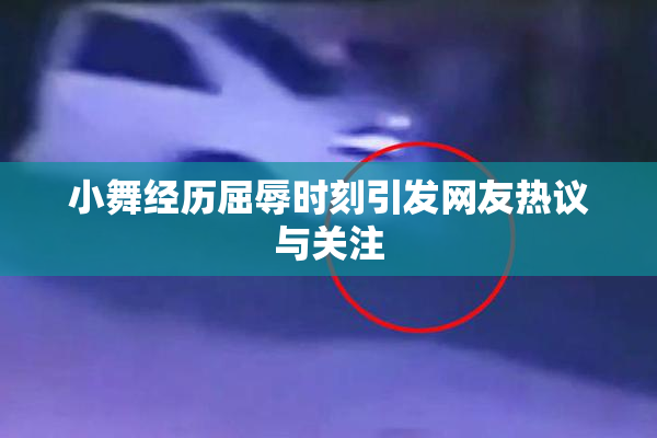 小舞经历屈辱时刻引发网友热议与关注
