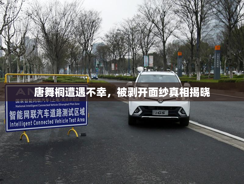 唐舞桐遭遇不幸，被剥开面纱真相揭晓