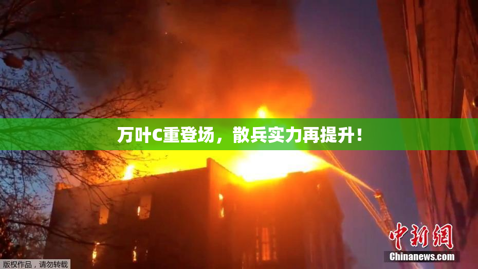 万叶C重登场，散兵实力再提升！