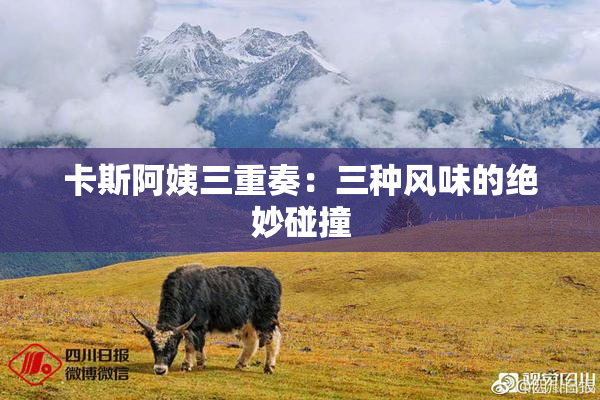 卡斯阿姨三重奏：三种风味的绝妙碰撞
