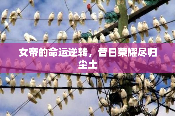 女帝的命运逆转，昔日荣耀尽归尘土
