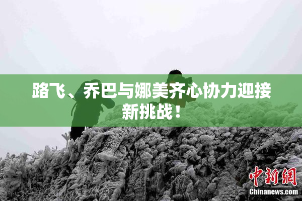路飞、乔巴与娜美齐心协力迎接新挑战！