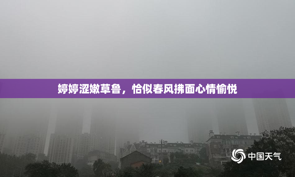 婷婷涩嫩草鲁，恰似春风拂面心情愉悦
