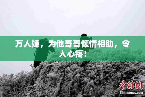 万人嫌，为他哥哥倾情相助，令人心疼！