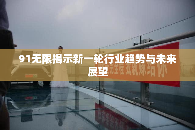 91无限揭示新一轮行业趋势与未来展望