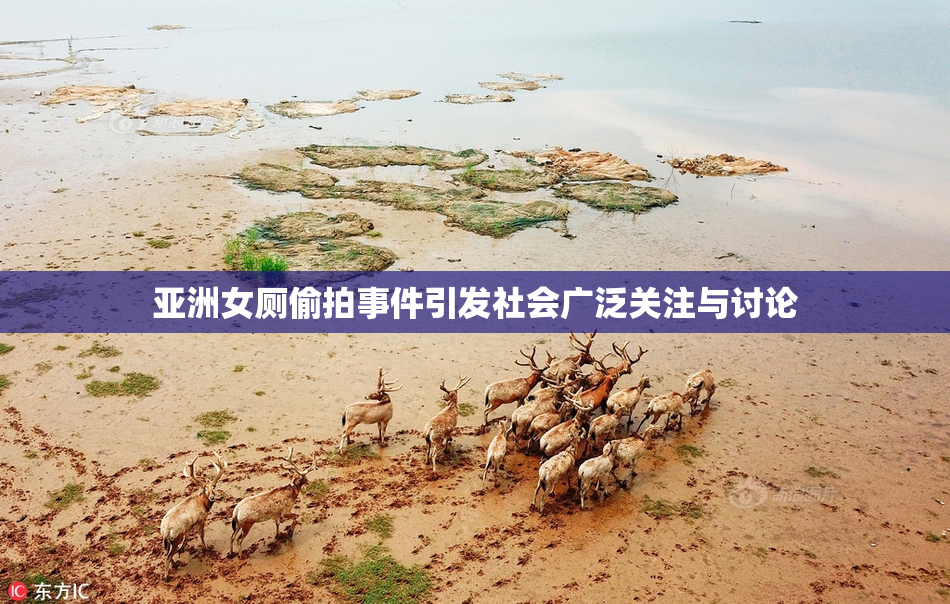 亚洲女厕偷拍事件引发社会广泛关注与讨论