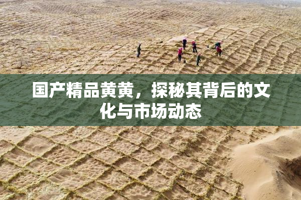 国产精品黄黄，探秘其背后的文化与市场动态