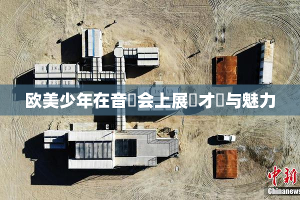 欧美少年在音樂会上展現才華与魅力
