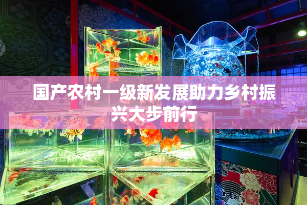 国产农村一级新发展助力乡村振兴大步前行