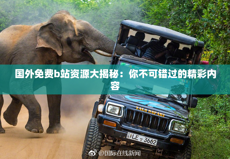 国外免费b站资源大揭秘：你不可错过的精彩内容