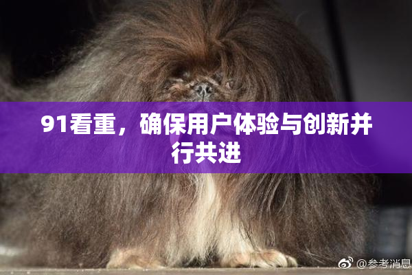 91看重，确保用户体验与创新并行共进