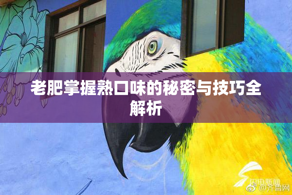 老肥掌握熟口味的秘密与技巧全解析